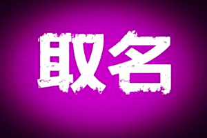 淘宝店铺起名技巧是什么?有创意的网店名字怎么取?
