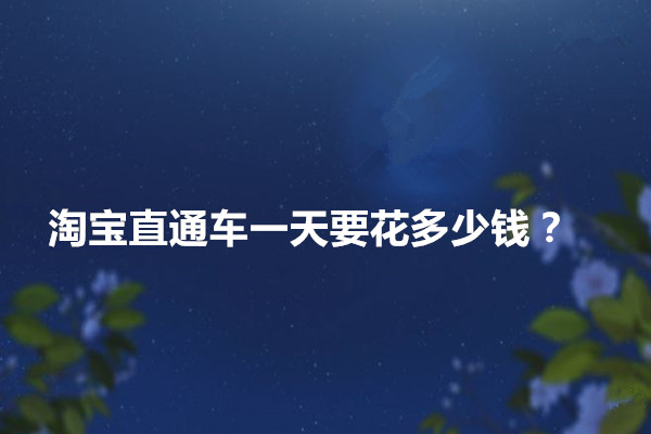 淘宝直通车一天要花多少钱？有没有一个标准？