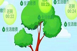 蚂蚁森林怎么让能量多？蚂蚁森林能量多的方法