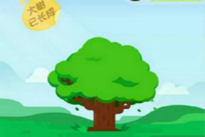 蚂蚁森林如何开启行走捐？如何获得蚂蚁森林能量？