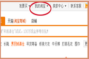 淘宝10年账单怎么看？消费总额如何查看？.jpg