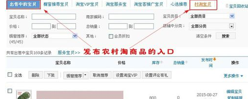 村淘专享