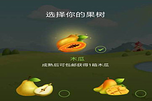 多多果园养分多少最好？多多果园分哪些阶段？