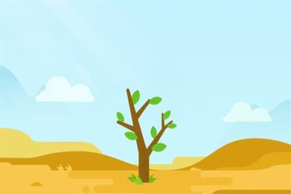 蚂蚁森林七夕可以种什么树？有什么用？