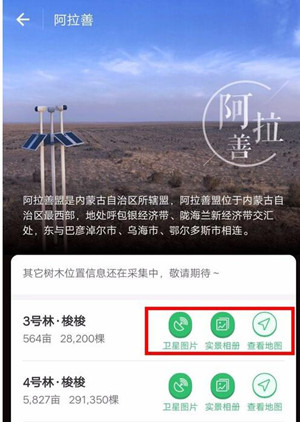 蚂蚁森林阿拉善的树具体种在哪里？蚂蚁森林现状如何？.jpg