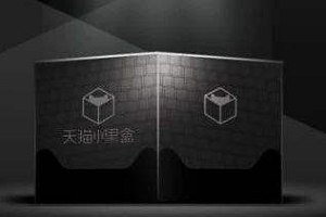 卖家怎么打标天猫小黑盒？淘宝小黑盒新品啥意思？