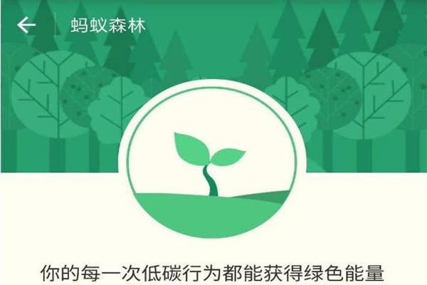 蚂蚁森林保护地有哪些？有什么用？