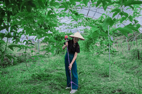 淘宝直播村播日是哪一天？怎么报名？