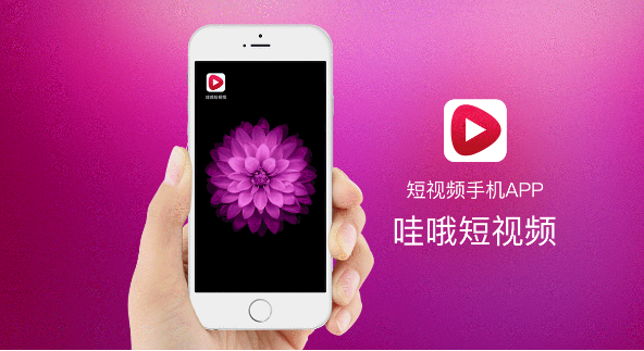 淘宝哇哦视频怎么下载？卖家如何进入？