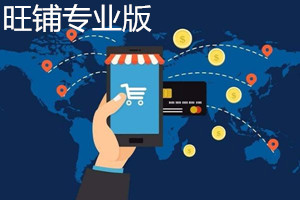 旺铺专业版在哪里购买？旺铺专业版和普通版哪个更实用？