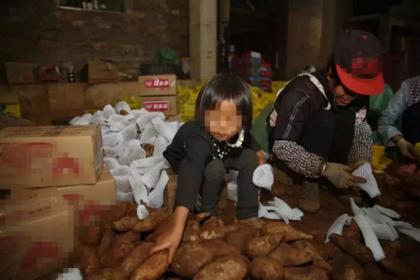 拼多多商品品牌怎么填？写些什么？