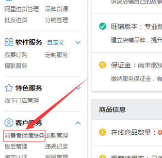 淘宝消保30元加入条件有哪些.png