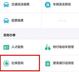 支付宝怎么查寻社保缴费明细？支付宝为什么查不到社保明细？jpg