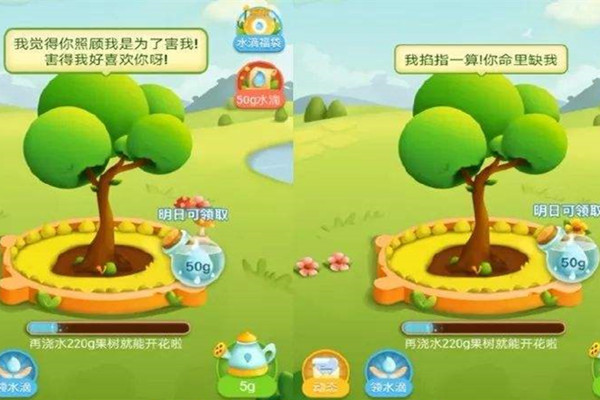 拼多多种水果要多久？什么时候才能结果？
