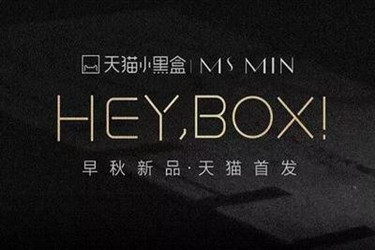 天猫小黑盒打标是什么意思？怎么进行打标？