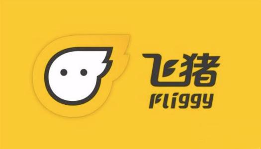 飞猪出票需要多长时间？飞猪相关问题解答