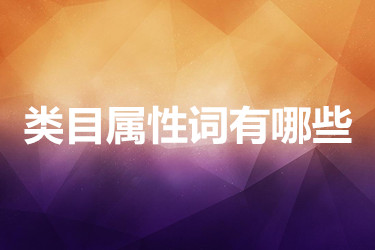 类目属性词有哪些？有什么作用呢？