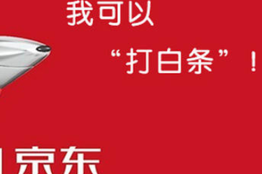 京东双11白条临时额度在哪里开通？申请方法介绍