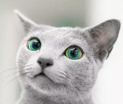 淘宝看了又看怎么关闭？如何快速找到想要的商品？