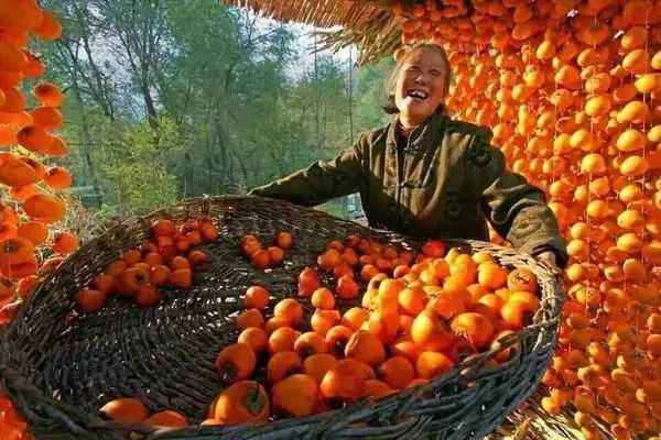 2020年丰收购物节商品价格要求是什么.jpg