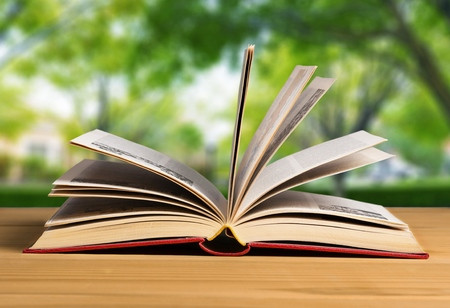 缺少类目词怎么办？如何找类目词？