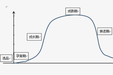 爆款的生命周期主要分为哪四个阶段？爆款生命周期是一样的吗？