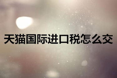 天猫国际进口税怎么交？有些什么样的形式？